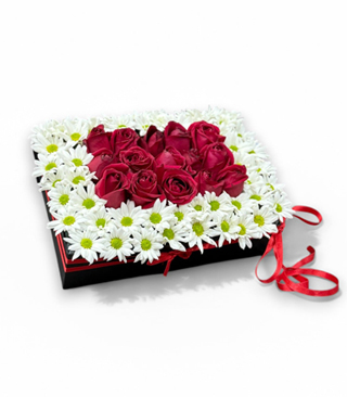 Krmz Gll Papatya Vip Kutu